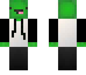 dj derpy turtle