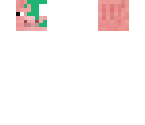 pig