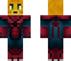 spider cat