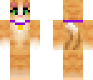 cat 4
