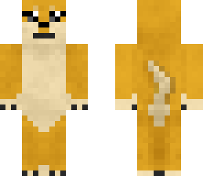 doge sunglasses