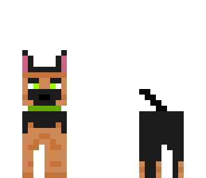 my dog broly