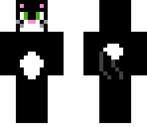 cat 6