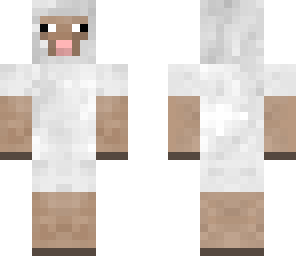 sheep