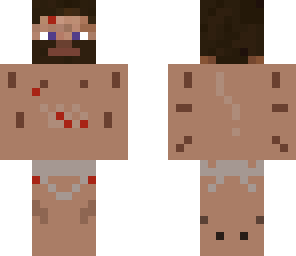 survival steve