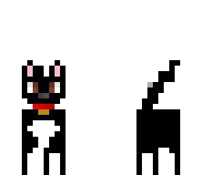 black doggie