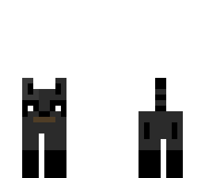 raccoon
