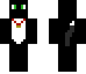 kitty cat