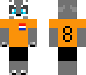 holland raccoon