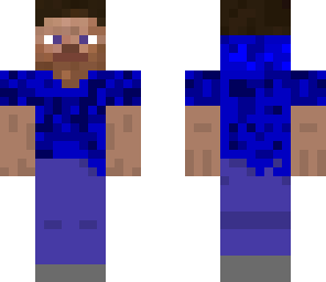 steve2014