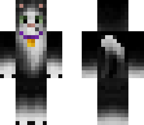 swag swag boyeee kitty swag