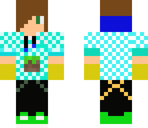 cute boy minecrafter