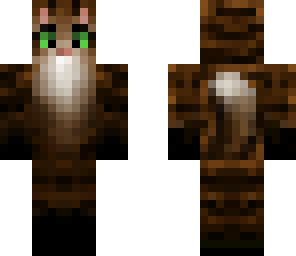 cocoa the kittypet