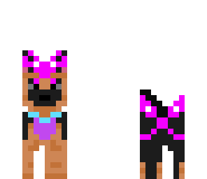 dogs