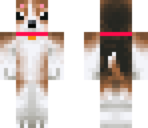 female beagle