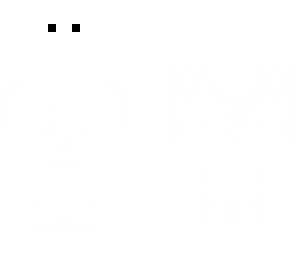 edit skin or ghost