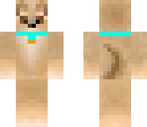 female chihuahua