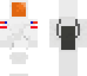fixed space pig