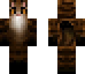 cocoa the kittypet fixed