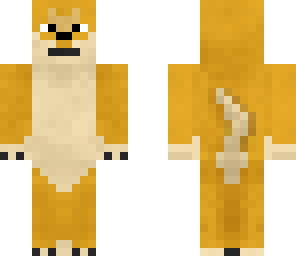 doge