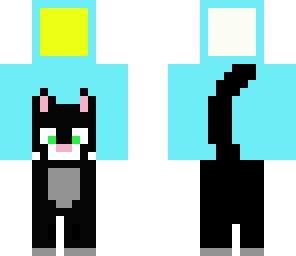 cat's day and night
