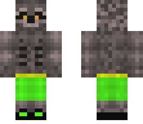 beach raccoon