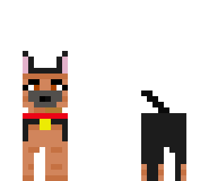 hondje test