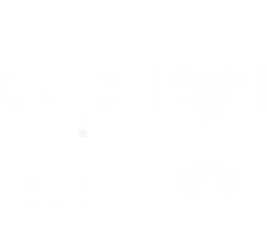 blank starter skin