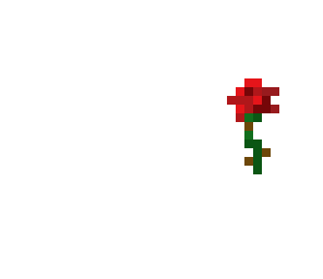 a rose