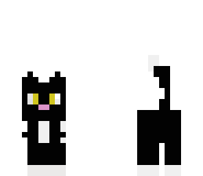 black cat