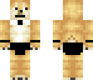 doge v