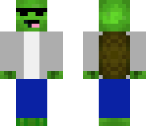 cool turtle 