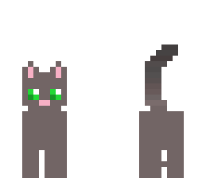 gray cat