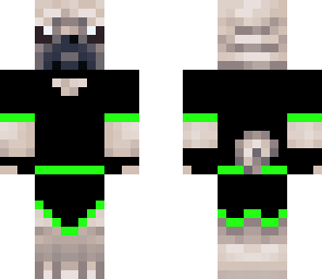 ninja puggins