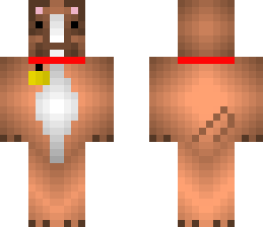 boxer dog