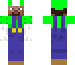 steve luigi