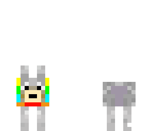 rain bbow dog