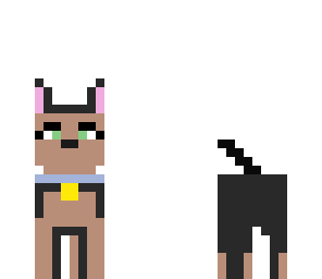 cute dog