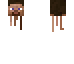 steve is a ghast
