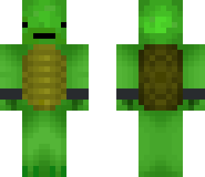 my turtle