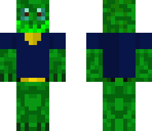 turtle in a shirt
