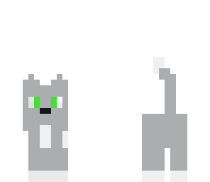 gray kitty