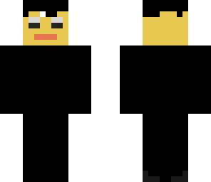 ninja skin