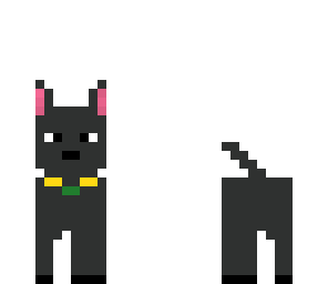 grey hound