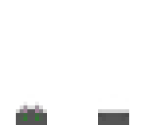 grey cat