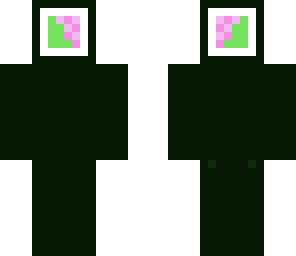 sushi base