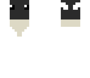 pooter