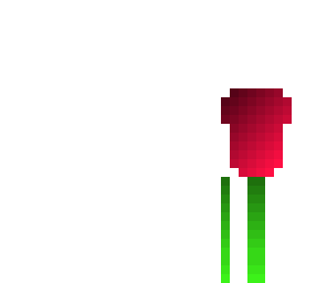 tulip
