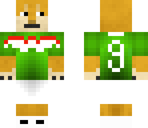 doge mexico