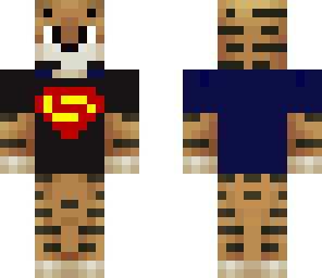 tayyerpvp